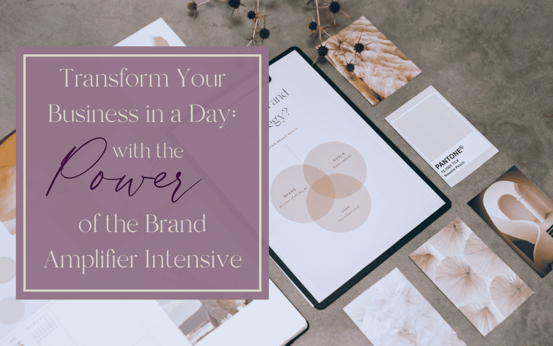 Transform Your Business in a Day: The Power of the Brand Amplifier Intensive